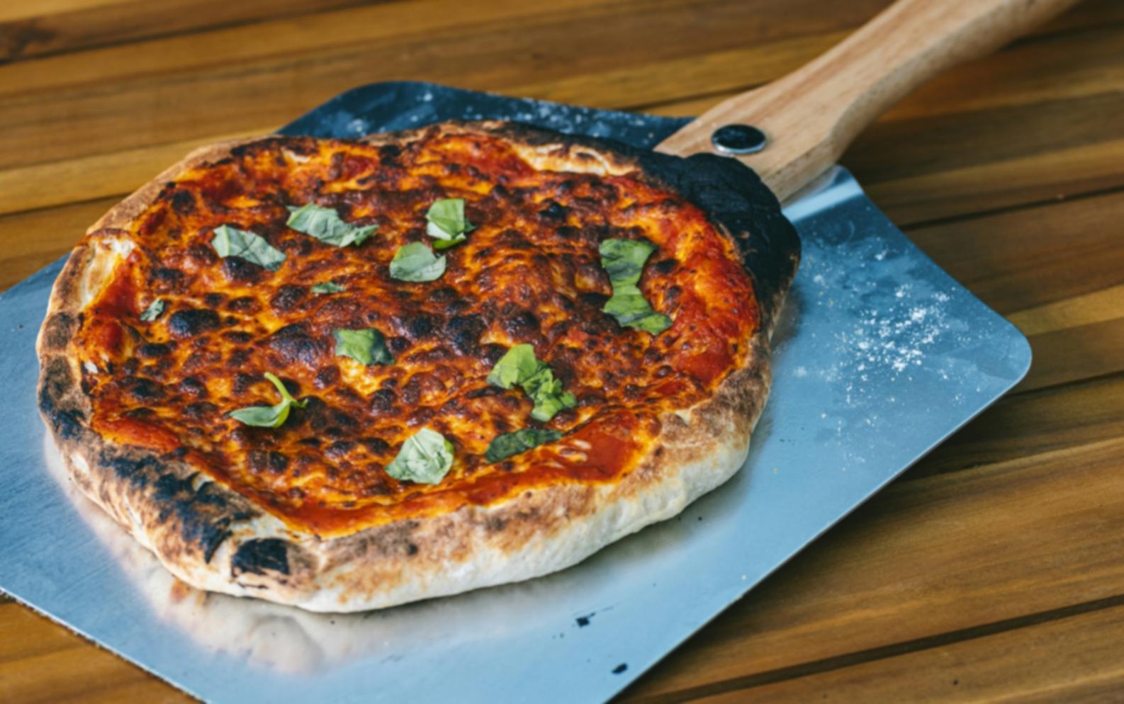 Fresh ingredients and prepared dishes showcasing cooking fundamentals